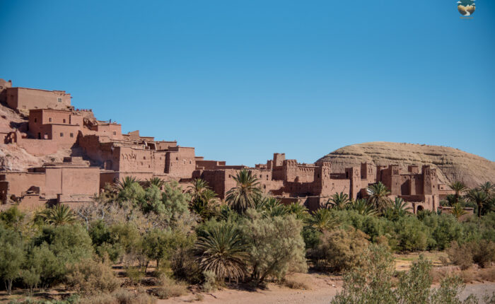 Morocco desert tour